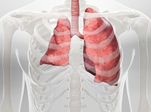 Lung Cancer