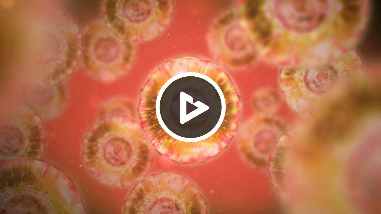 stemcelltherapyoverview_1280_og