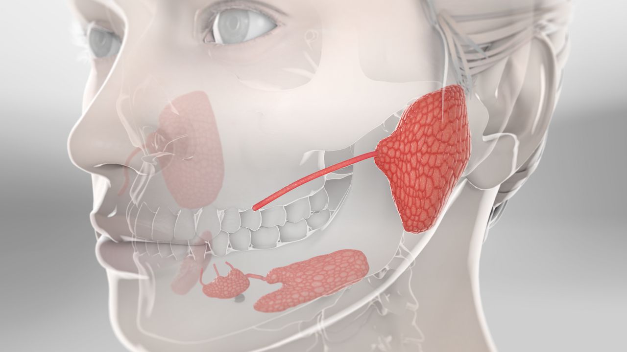 Salivary Gland Cancer