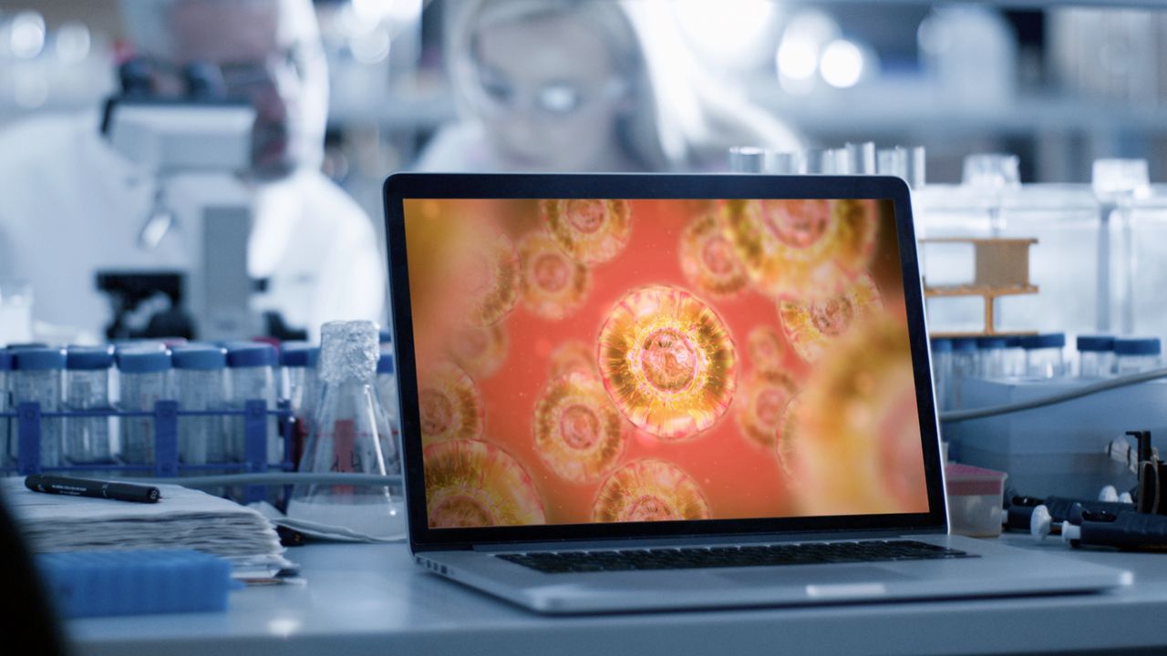 stemcelltibiafracture