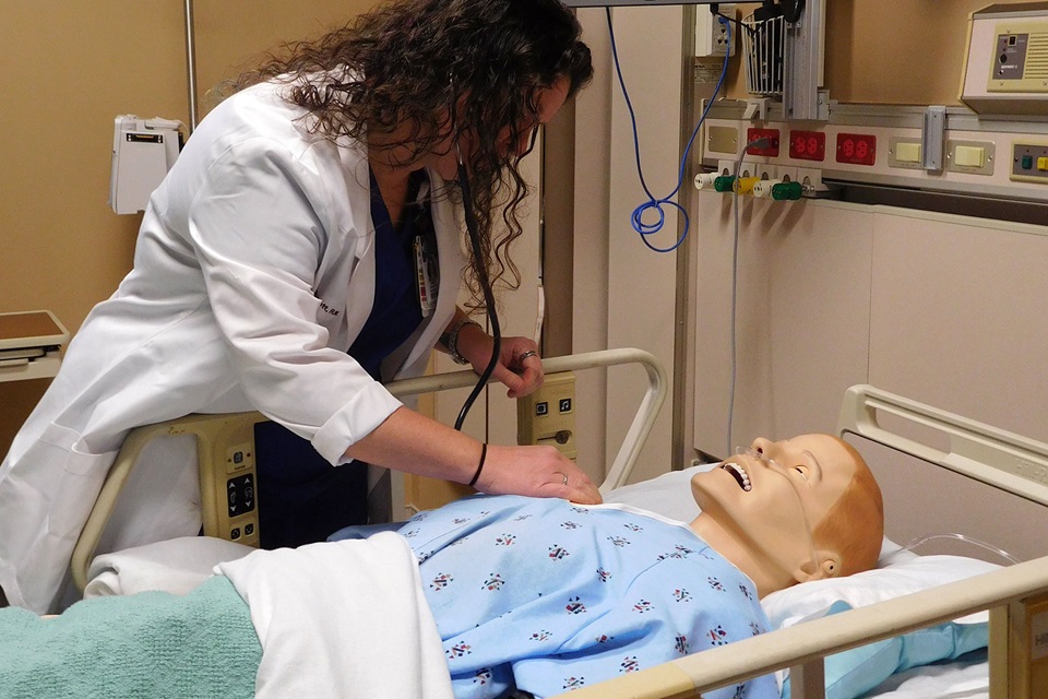 Training and Development